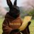 That Rabbit Guy