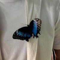 tima (@tt_u04) 's Twitter Profile