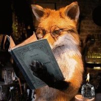 fedi (@ursfd) 's Twitter Profile