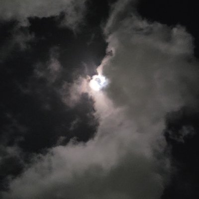 ncrcatt's profile picture. Married Father of 4 that wants an affordable life for his children
Ottawa Canada