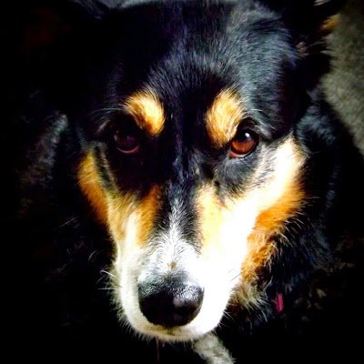 nolder_mike's profile picture. 