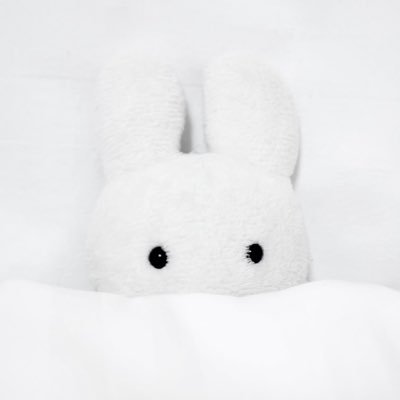 珠央さんのプロフィール画像