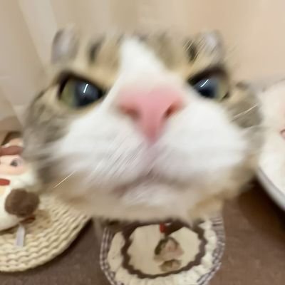 ngomul