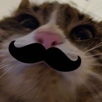 Yoyo (@kwr_spp) 's Twitter Profile