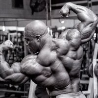 Waseem Hameed Butt (@waseemhame54727) 's Twitter Profile