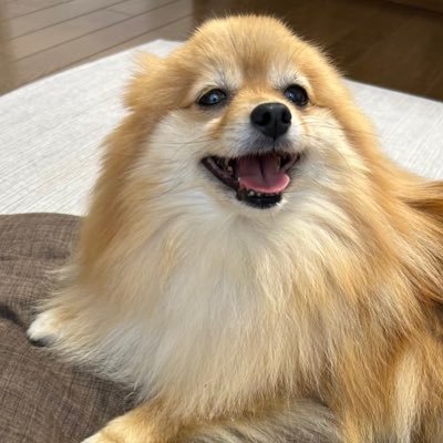 アリオをかまってちゃん‎‎‎˙Ⱉ˙さんのプロフィール画像