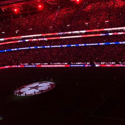 Apenas mais um dos milhões que fazem do Glorioso SPORT LISBOA E BENFICA o maior clube do Mundo