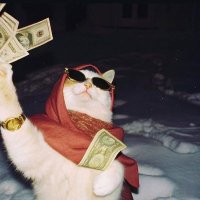 meshspams (@meshspams) 's Twitter Profile