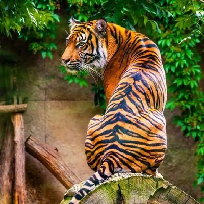 दोस्त, मेरे Twitter से जुड़ने के लिए बहुत बहुत शुक्रिया.
अगर मैंने आपको follow back नहीं किया है तो 24 घंटे में पक्का कर लूंगा. वादा रहा.
