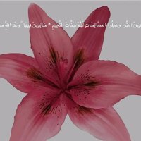 ... (@feeling_1955) 's Twitter Profile Photo ... (@feeling_1955) 's Twitter Profile Photo