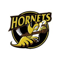 Cambridge Hornets (@hornetssrhc) 's Twitter Profile