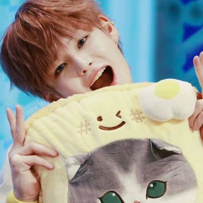 mostly yapping abt #treasure #𝐲𝐨𝐬𝐡𝐢 #𝐚𝐬𝐚𝐡𝐢
❤🦔🐶🐯🐨🤖🦁🐰🦋🐺🐮❤
𝐟𝐚𝐥𝐥 𝐢𝐧 𝐥𝐨𝐯𝐞 𝐰 #金本芳典 𝐭𝐢𝐥𝐥 𝐈 𝐝𝐢𝐞.