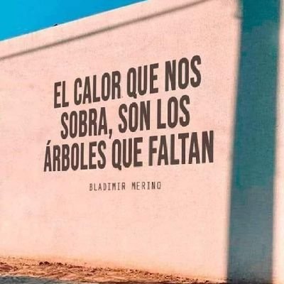 A puro pendejo le caigo mal. 🤗
Puro pendejo checa los perfiles cuando no tiene argumentos. ✨