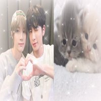 π (@taebeomz) 's Twitter Profile