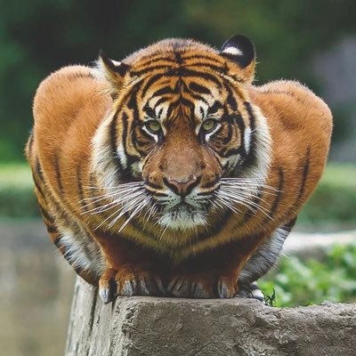 cobanwin's profile picture. 