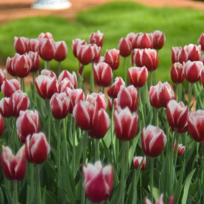 KaidonMick28's profile picture. 