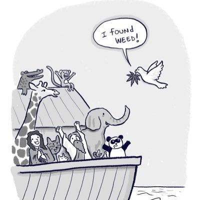 NeroChe563087's profile picture. While I breathe, I hope.⚓️ 🇰🇪 🇦🇹