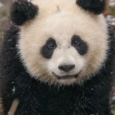 Terje20059's profile picture. 