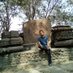 Gurumayum Somchandra Sharma (@somchandrakng) Twitter profile photo Gurumayum Somchandra Sharma (@somchandrakng) Twitter profile photo