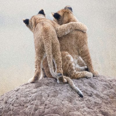 AdamLancuch's profile picture. 全国どこでもサポート可能！！
水商売、風俗系の方の隙間時間を有効活用して本業以上の数字も狙っていけます！
スケジュール自由！自身のタイミングでOK！
縛りなし！
サポートもしっかりさせて頂きます！
お気軽にDMくださいね(^^♪
・単体2～10万円
・ペア3～20万円
直近はこんな感じ。サポートは20名以上在籍