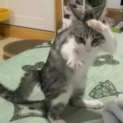 cogaidamdang318's profile picture. k nhận fwb ons