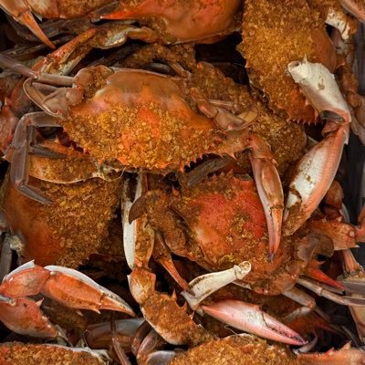 PLawrenceishere's profile picture. 