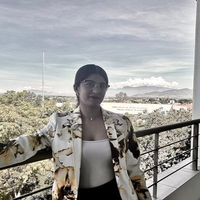 Estudiante de Derecho, 21 años, Oaxaqueña.