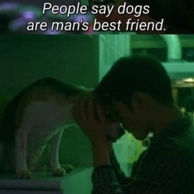doggoさんのプロフィール画像
