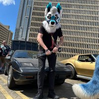 Ram_the_woofer (@ramthewoofer) 's Twitter Profile Photo Ram_the_woofer (@ramthewoofer) 's Twitter Profile Photo