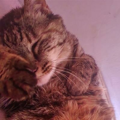 xiaofengzi05's profile picture. 