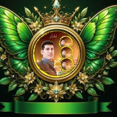 بشار الشجاع 3 Profile