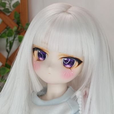 お菊ちゃん@燈籠茶屋(アカウント取り戻したぜ～ (@okikutyan8888