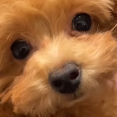 0429kai's profile picture. 22さい！