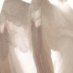 🕊 𝒟𝑜𝓋𝒾𝑒 (@fadingin2clouds) Twitter profile photo 🕊 𝒟𝑜𝓋𝒾𝑒 (@fadingin2clouds) Twitter profile photo