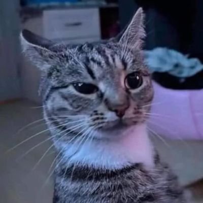 marssel12's profile picture. ONLY STAY 💙
OT8 ∞
5SOSFam
SOLDIER
03 liner