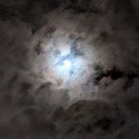 S π΅πΈ (@dumbnumb__) 's Twitter Profile