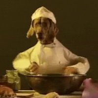 Dog Nightmares News (@dogmaresnews) 's Twitter Profile Photo Dog Nightmares News (@dogmaresnews) 's Twitter Profile Photo