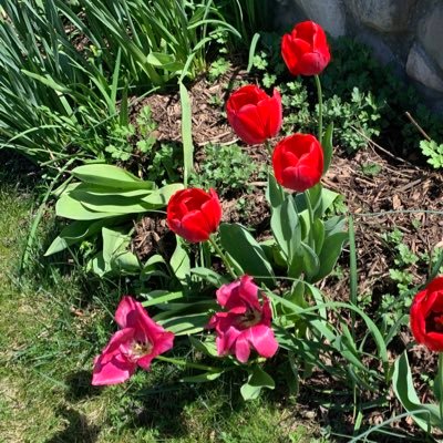 bymollyblair's profile picture. 