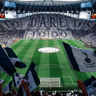 dave23thfc's profile picture. Member of Spurs in Spain