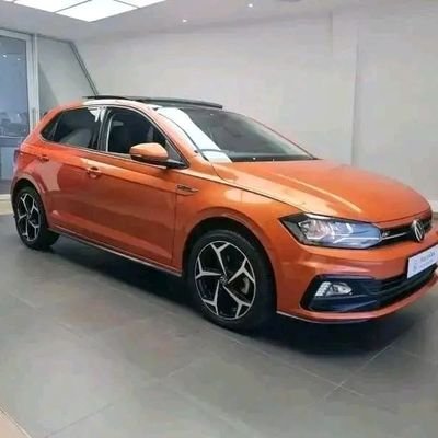 MosesChauk29327's profile picture. 