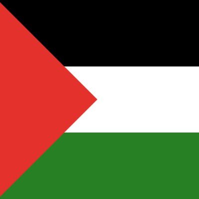 fighting for justice in Gaza! share my story ✌️ || documenting life under occupation