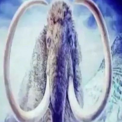 schmorklingon5's profile picture. 