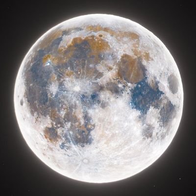 xEngine26's profile picture. V8