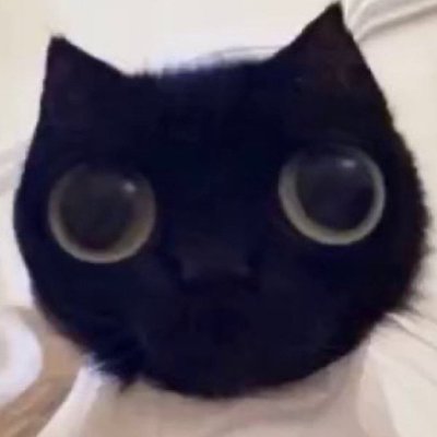 Cryesnow Profile