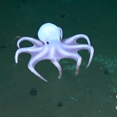 Chloe11068160's profile picture. 