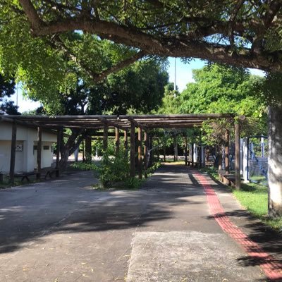 Mandem seus vídeos, fotos e relatos para ser divulgado
Aracaju - Se