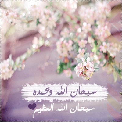 مالي شبيه إلا السماء والسحابة ومالي نقيض إلا مقلد ومنسوخ (أناكذا) ما أشبه،، الا اتشابه ! ماأدنق إلا يرتفع راسي شموخ ' مَ احلل سرقه اي محتوى من حسابي | الخاص 🚫
