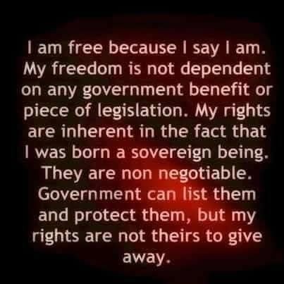Libertarian. Tribal politics is a cancer. You don't hate the government enough. Freedom is everything. 🦔