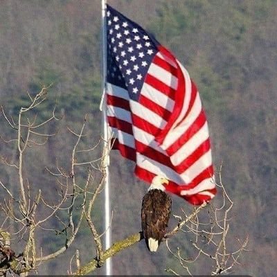 ItsIdiocracy's profile picture. Team Humanity, Christian, GOD, Family, Country. Retired Army/US CBP.  My sence of humor will hurt your feelings! FAFO.🚫 DM's, @MAGA