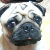 freeteck (@_freetech) 's Twitter Profile